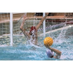 Filets de but de Water polo