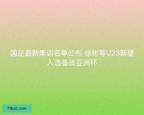 国足最新集训名单公布 徐彬等U23新星入选备战亚洲杯